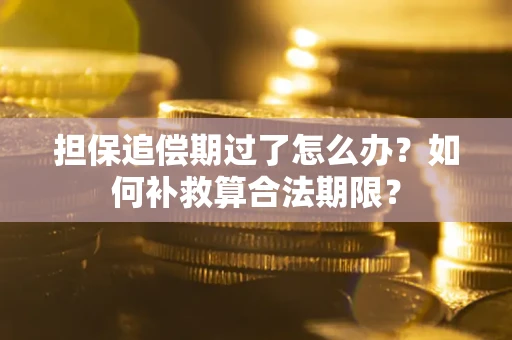 北京担保追偿期过了怎么办？如何补救算合法期限？