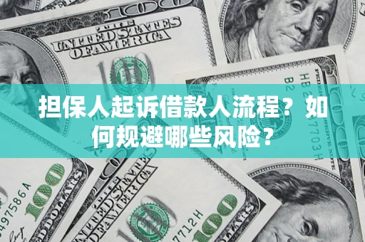 北京担保人起诉借款人流程？如何规避哪些风险？