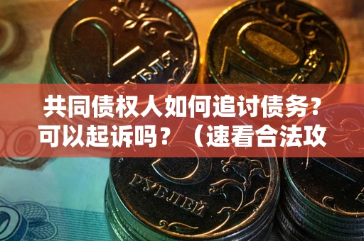 北京共同债权人如何追讨债务？可以起诉吗？（速看合法攻略）