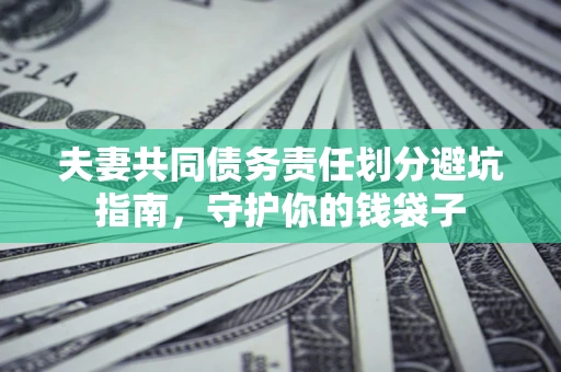 北京夫妻共同债务责任划分避坑指南，守护你的钱袋子